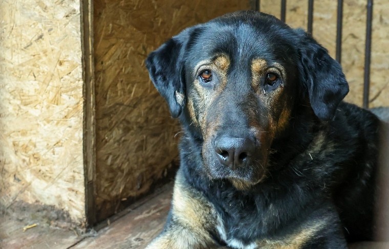    Сергей Булкин/NEWS.ru