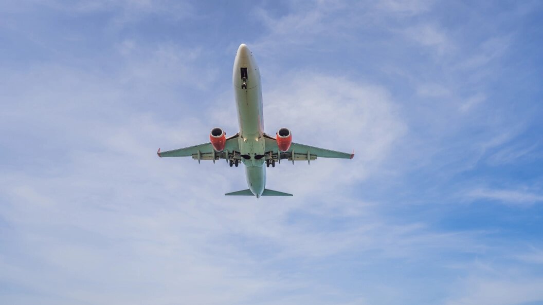    Фото: freepik.com.