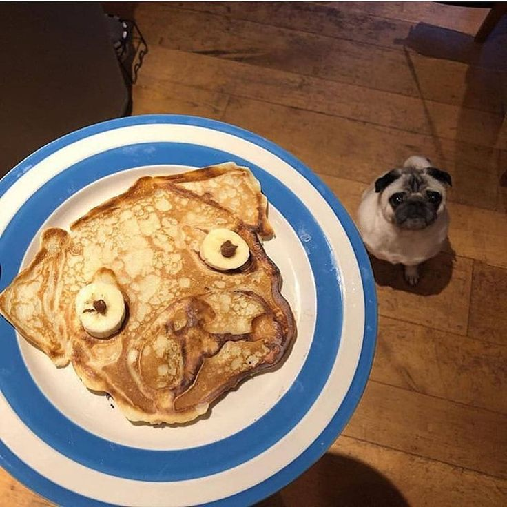 Картинка взята из открытого доступа в сети Интернет