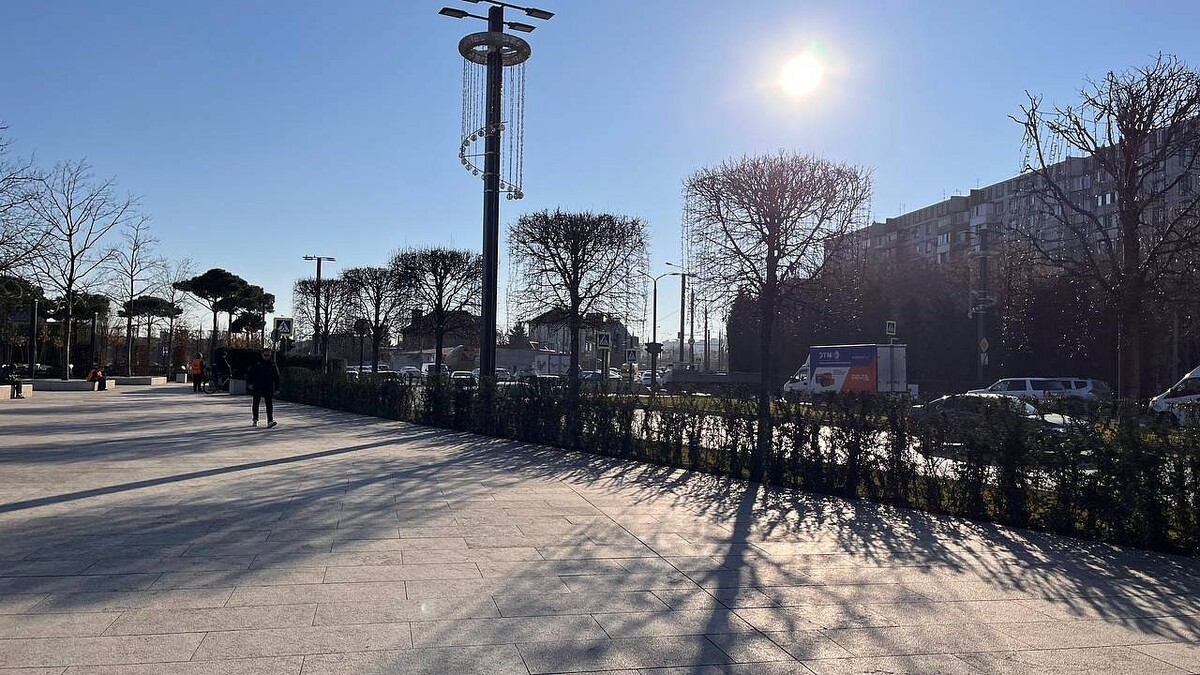    Фото: телеканал «Краснодар»