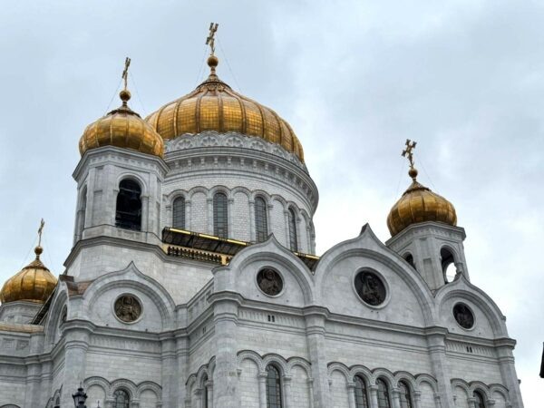    Фото: Светлана Лобова. UG.RU