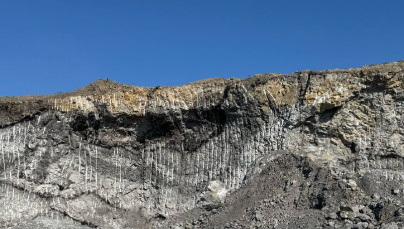    Фото: primamedia.ru Георгий