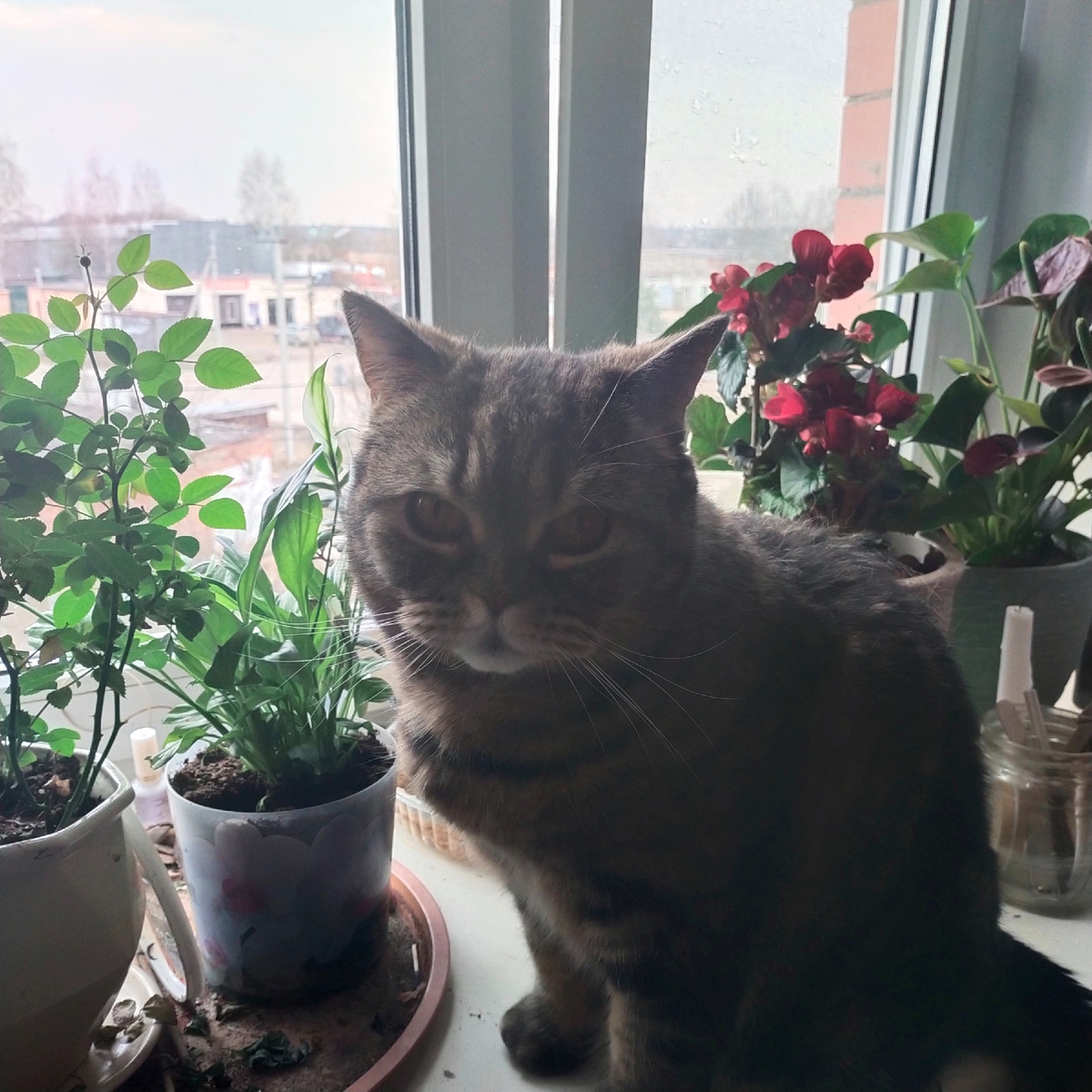 Фелиция встречает весну