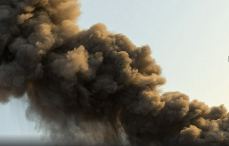    Shutterstock|FOTODOM