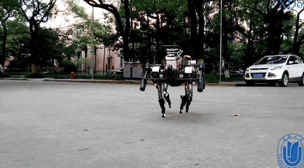 XDog разработаный Ван Синсином