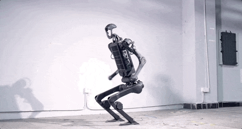 В марте 2024 года Yushu Technology опубликовали видео сальто назад H1