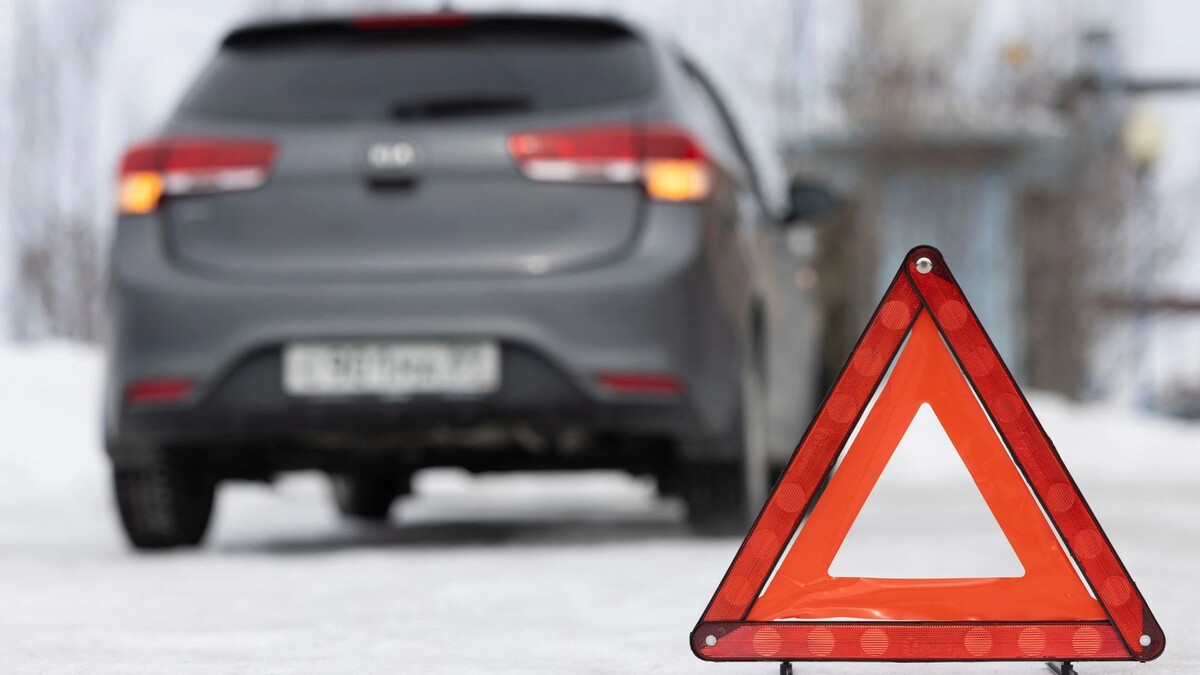    Фото: Сергей Зубков/«Ямал-Медиа»