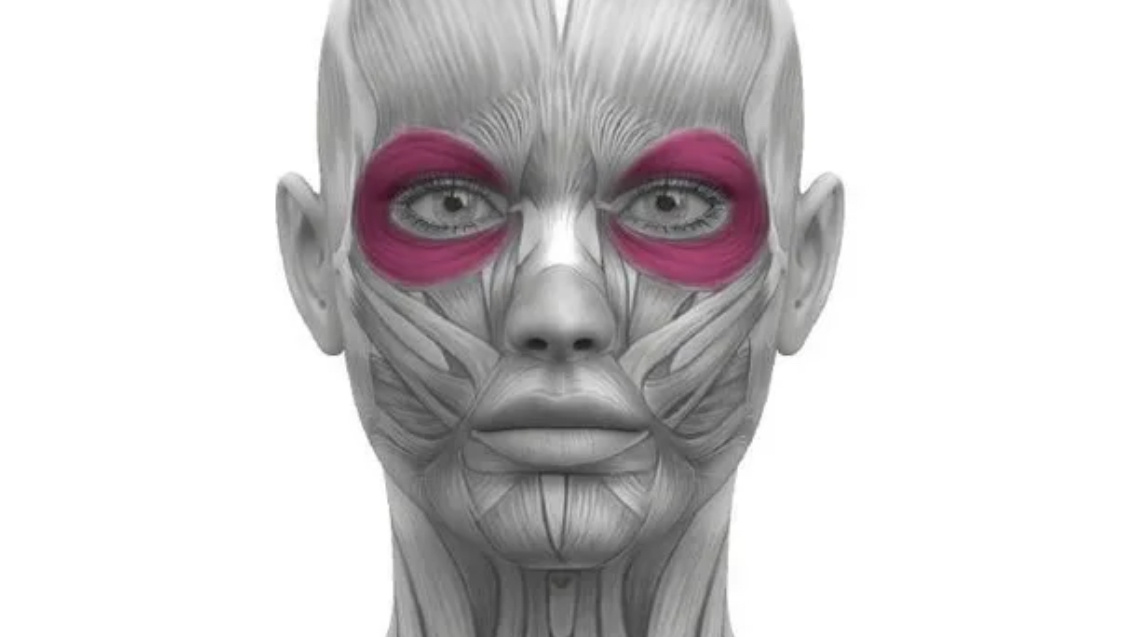 Круговая мышца глаз 