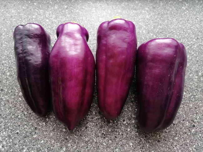 перец Текила