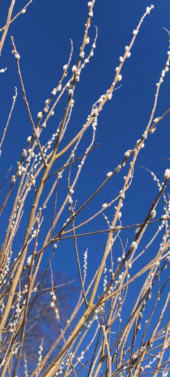 Неимоверная синь! Прямо синяя пресиняя синь!!!