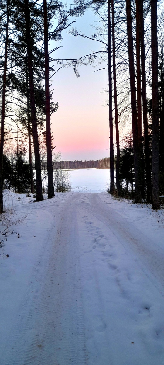 Наше любимое озеро Буозеро неделю назад, когда из деревни ехали - заезжали погулять!