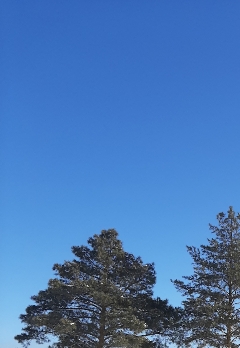 Морозное утро