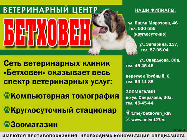    Реклама. Реклама. ИП Кобец Р. В. erid: 2W5zFJC6tWk Фото: Ветеринарный центр «Бетховен»