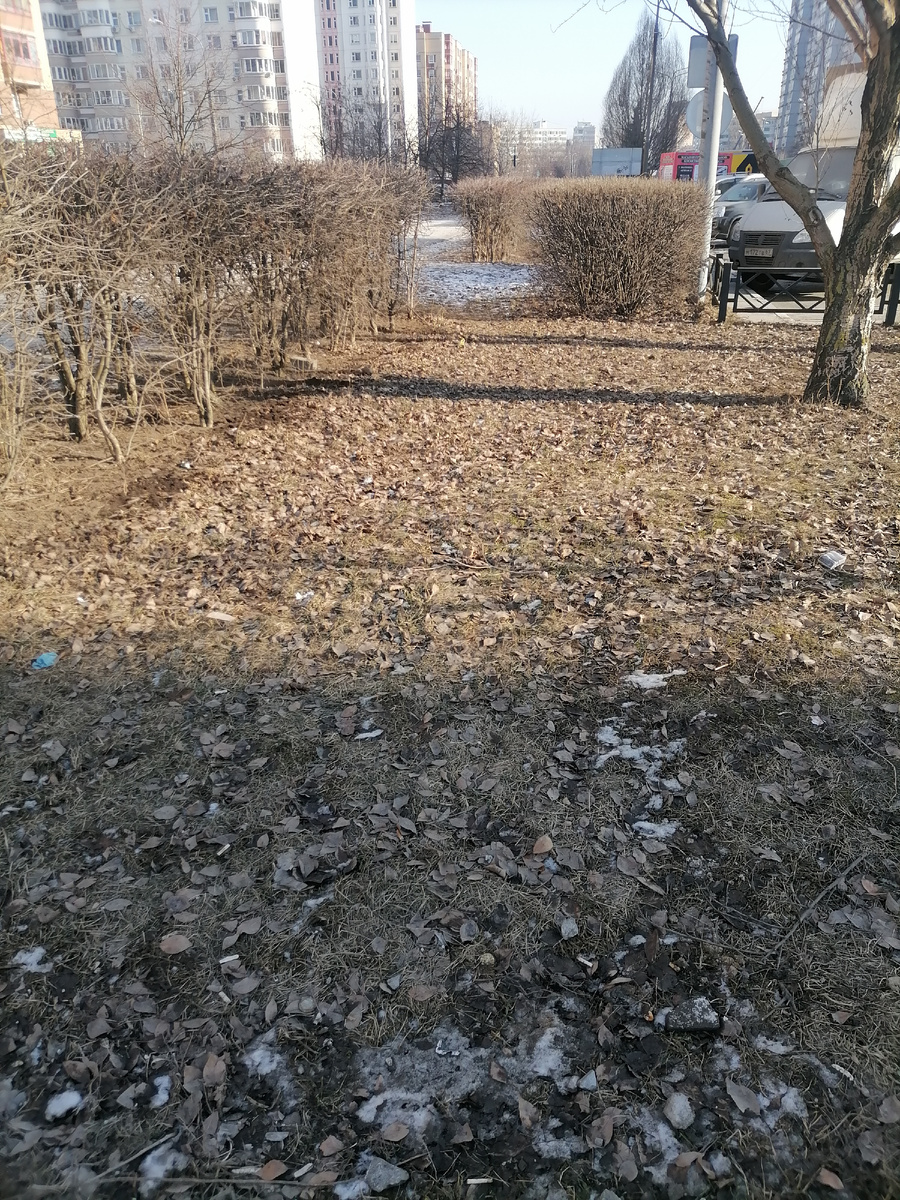 Первый день весны