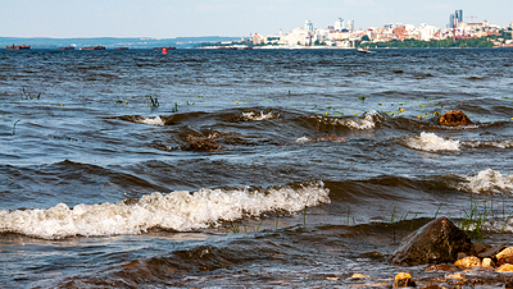    Svetlana Vozmilova/Globallookpress