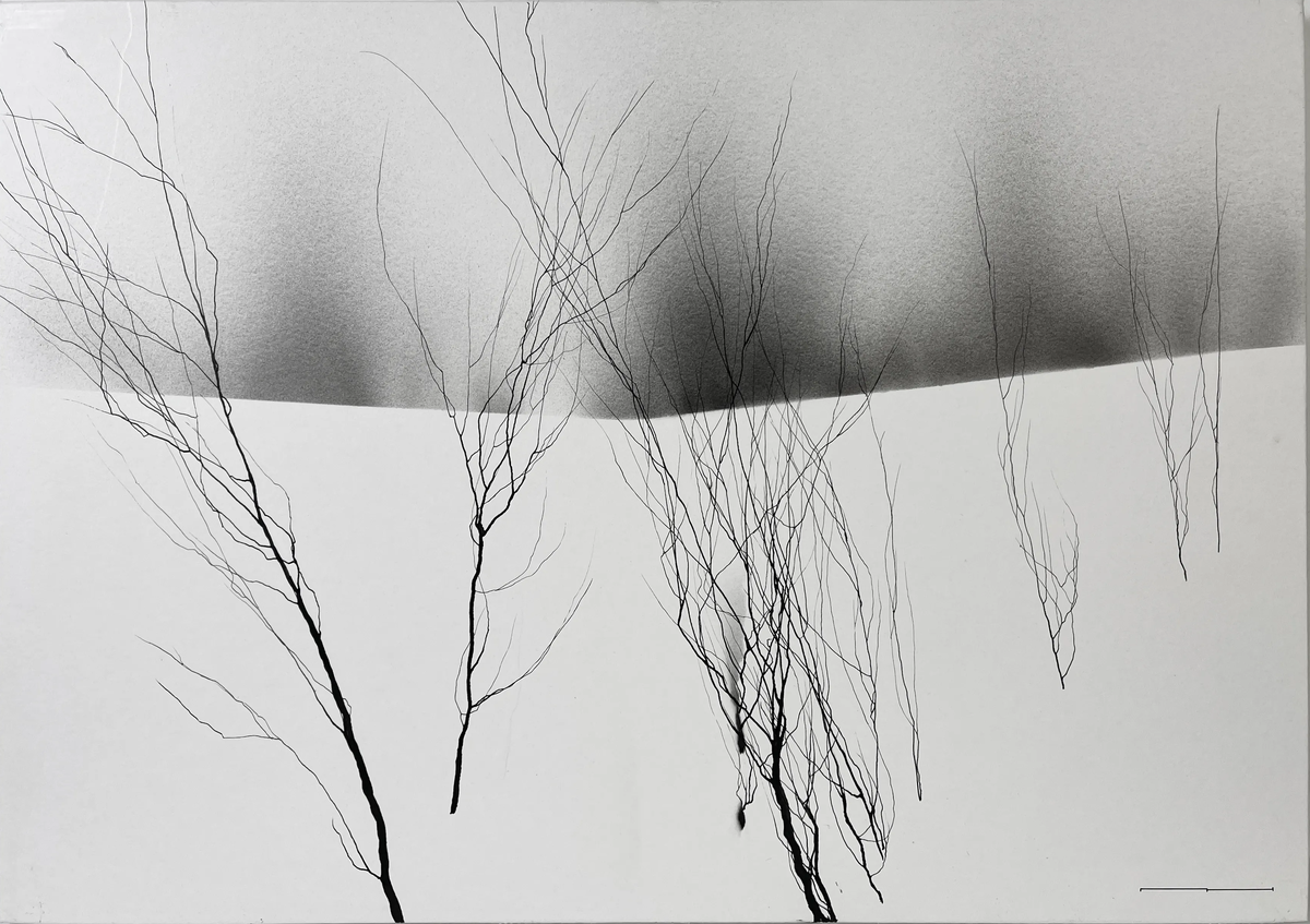 "Мираж", Никита Паречин