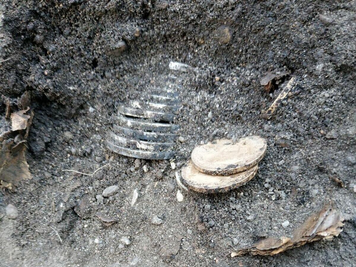    Так выглядели монеты в земле© Фото предоставлено Ольгой Леонтьевой