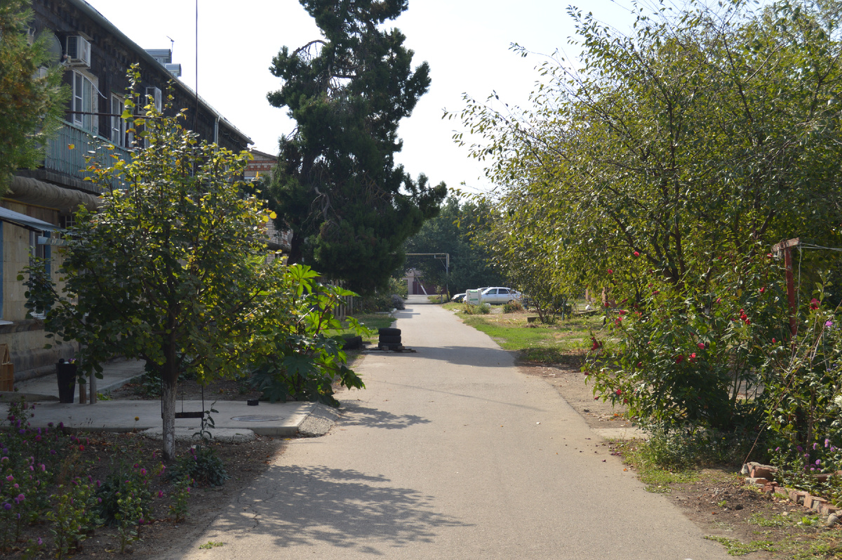 Фото автора. Весна 2024. Станица. Ждём прихода весны.