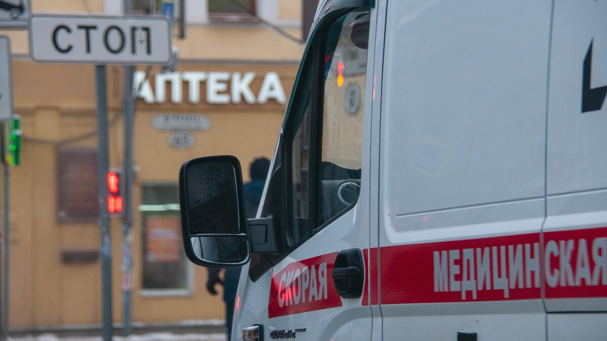    Фото: Svetlana Vozmilova/globallookpress.com