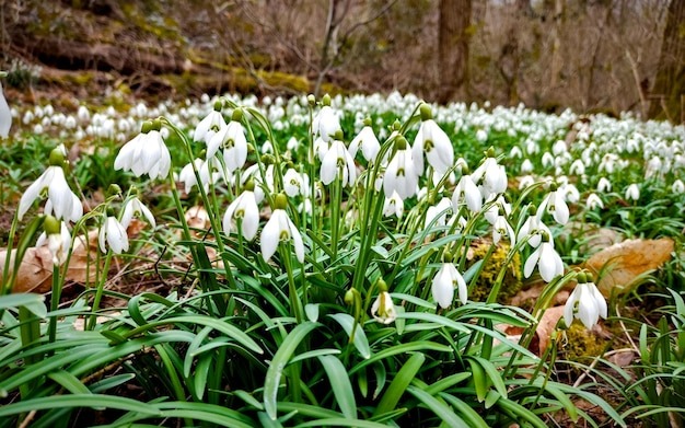 Из источников интернета 