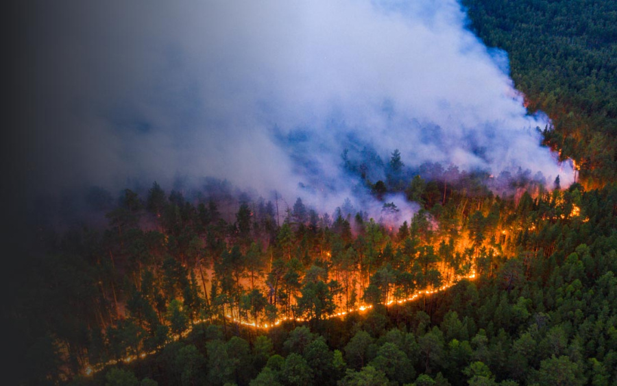     Лесхоз информирует - лесные пожары