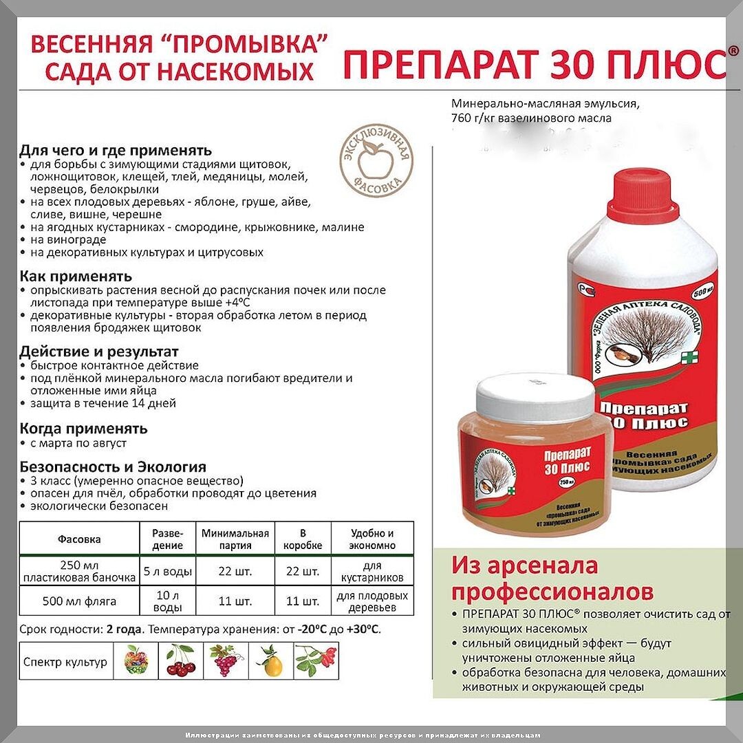 https://vk.com/photo-159774511_457269828