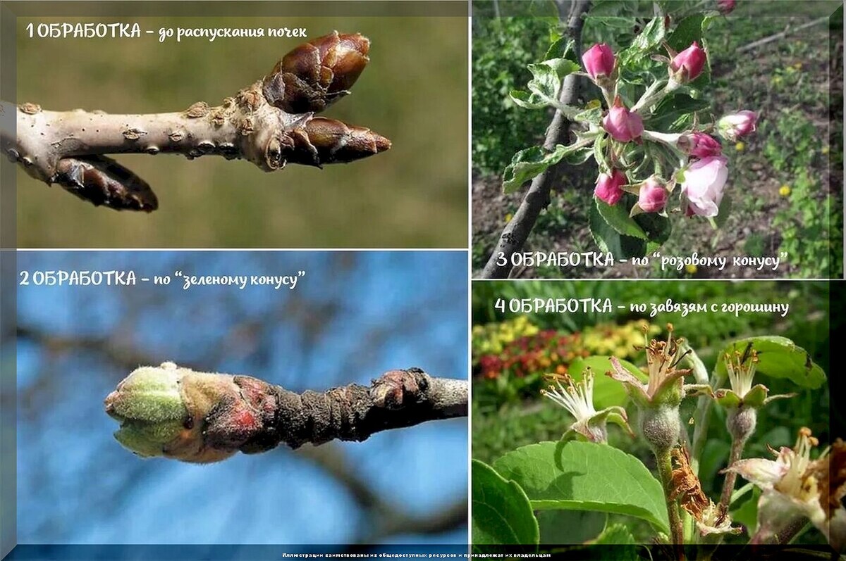 https://vk.com/photo-159774511_457269830