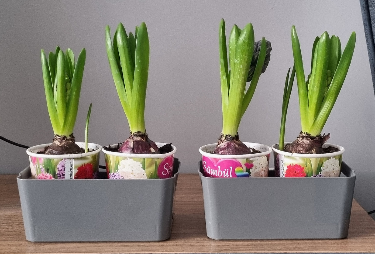 Начало процесса