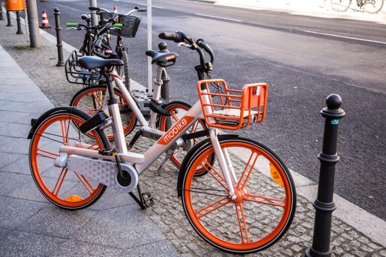    Фото: Общественная Служба Новостей Ксения Евдокимова