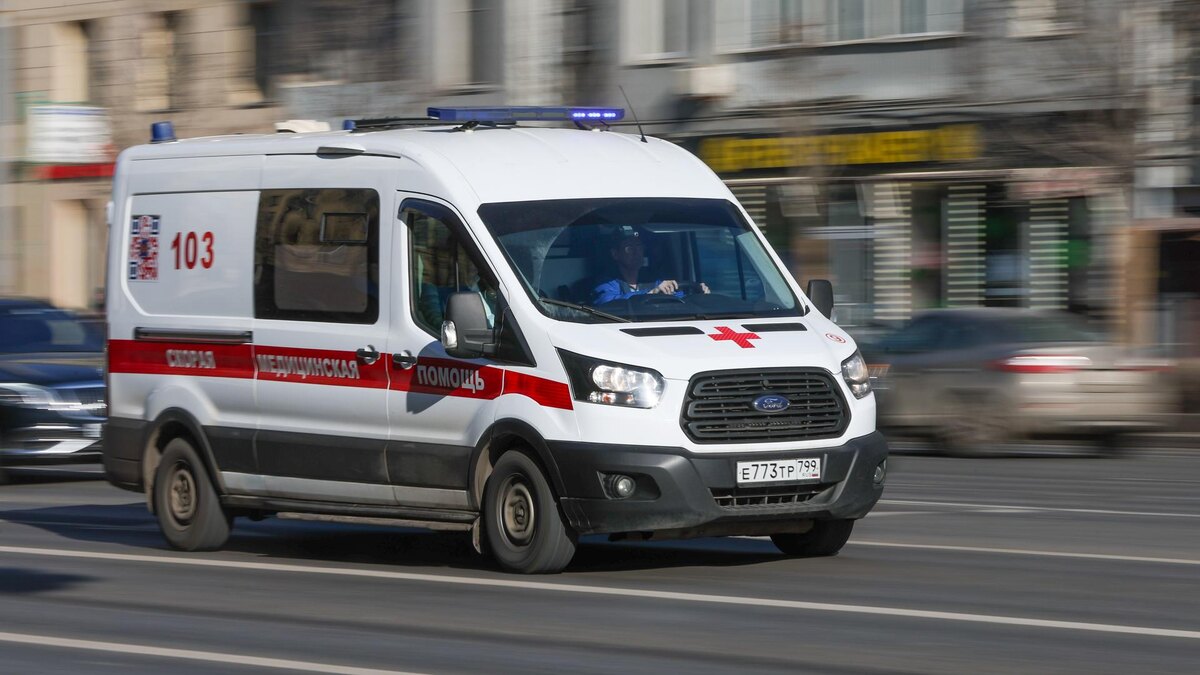    Фото: Belkin Alexey//globallookpress.com