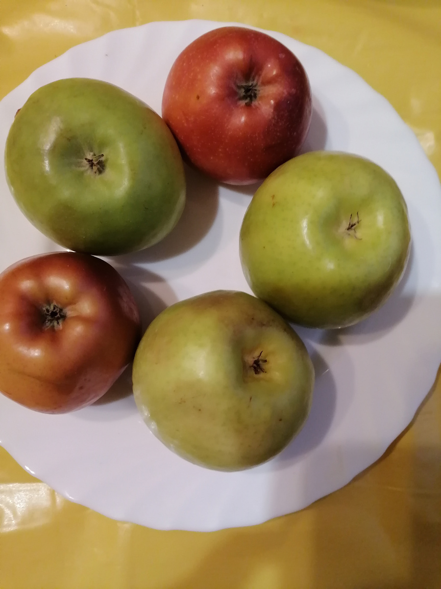 Фото 1. Чистые яблоки
