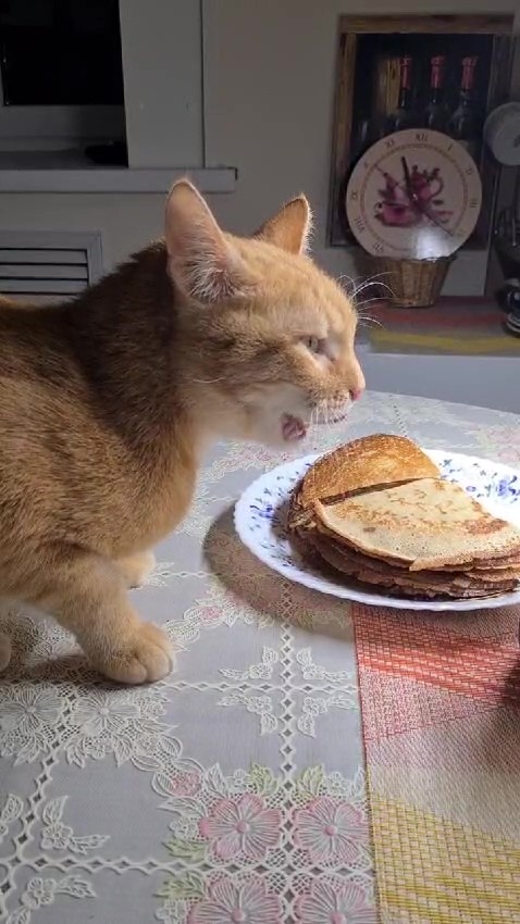 Кадр из фильмы Жанны РЯБЫХ)