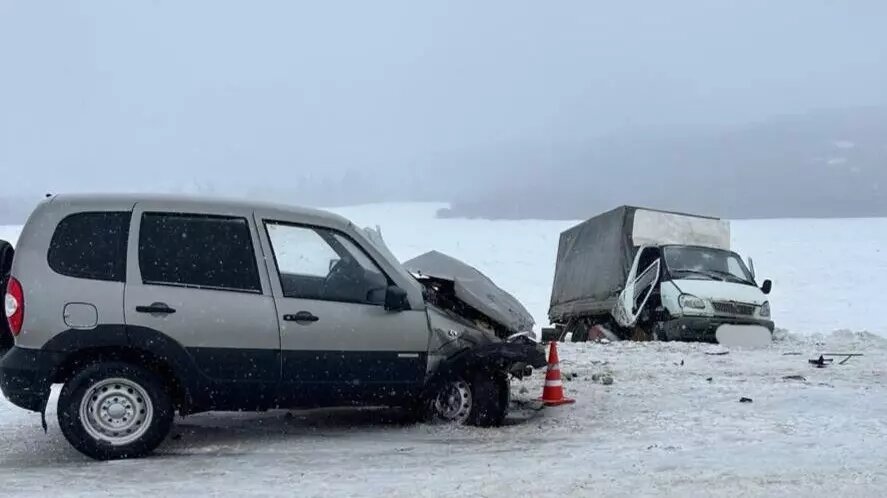     Источник: ГАИ Ставропольского края