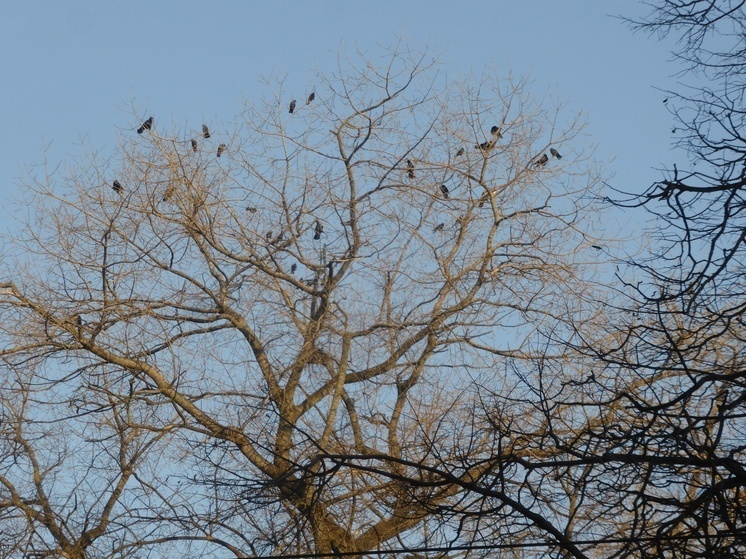     Фото: Юрий Галченков
