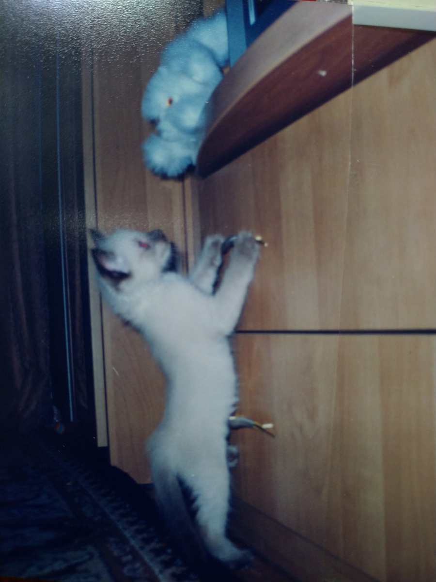 Тимофей в 2005 году