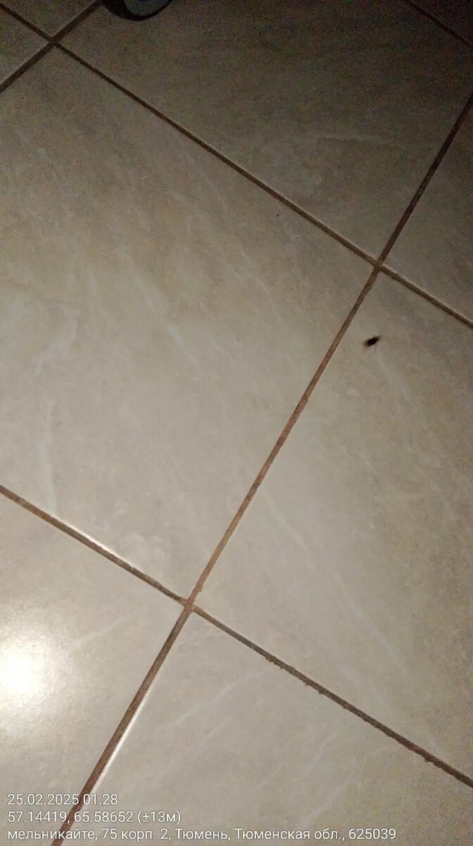     Источник: ЧС Тюмень