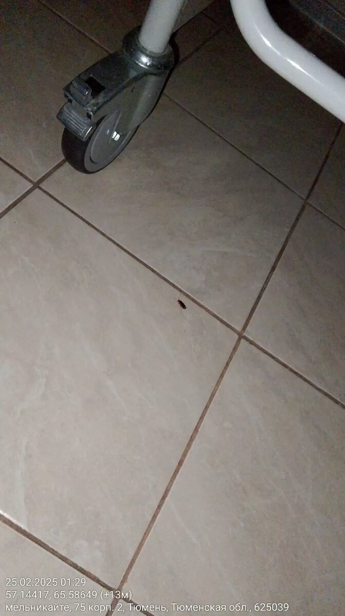     Источник: ЧС Тюмень