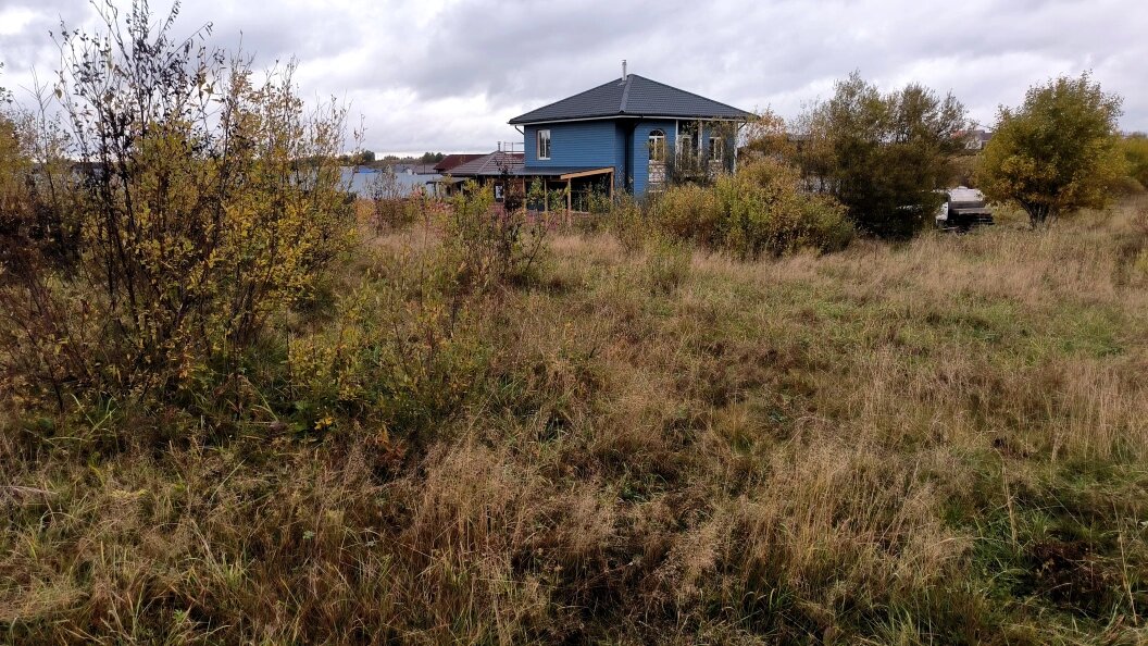    Фото: Maksim Konstantinov/Globallookpress