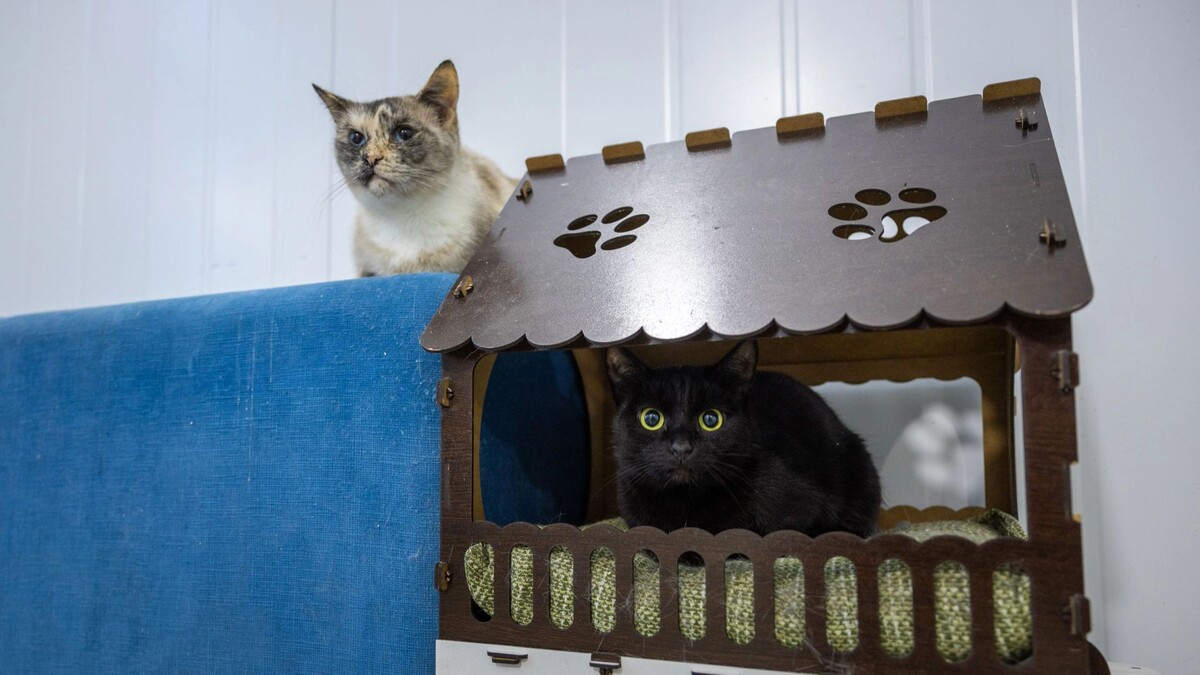    Фото: Федор Воронов/«Ямал-Медиа»