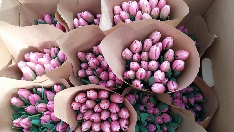      Фото: администрация Предгорного округа