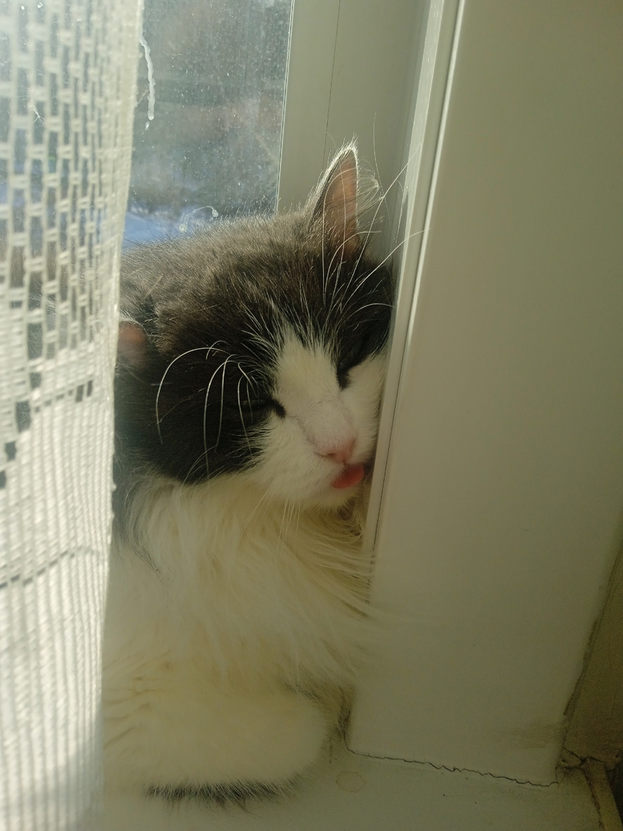 Фото автора