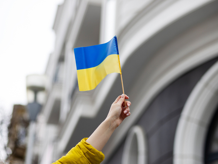 Фото: ru.freepik.com
