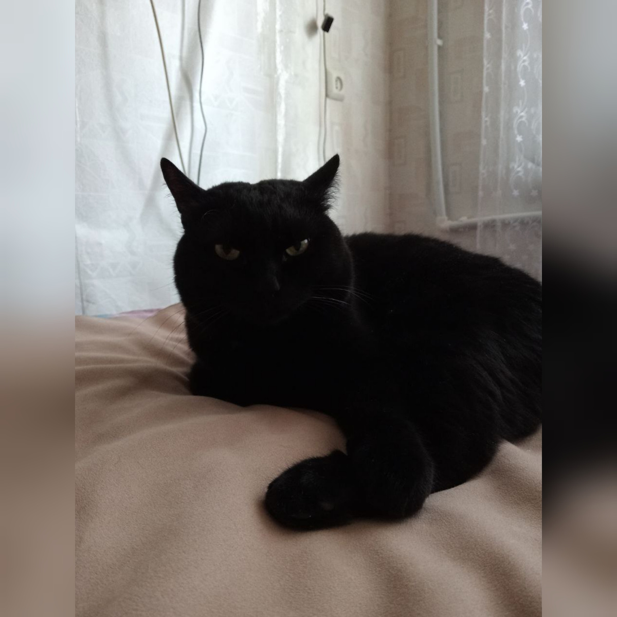 Фото автора.