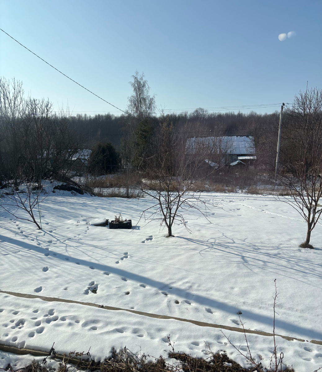 Вид из окна сегодня.