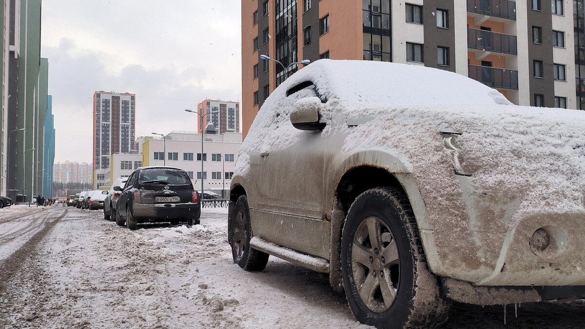    Фото: Maksim Konstantinov/globallookpress.com