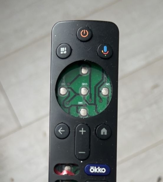 погрызенный попугаем пульт от телевизора, который стал причиной отравления птицы.