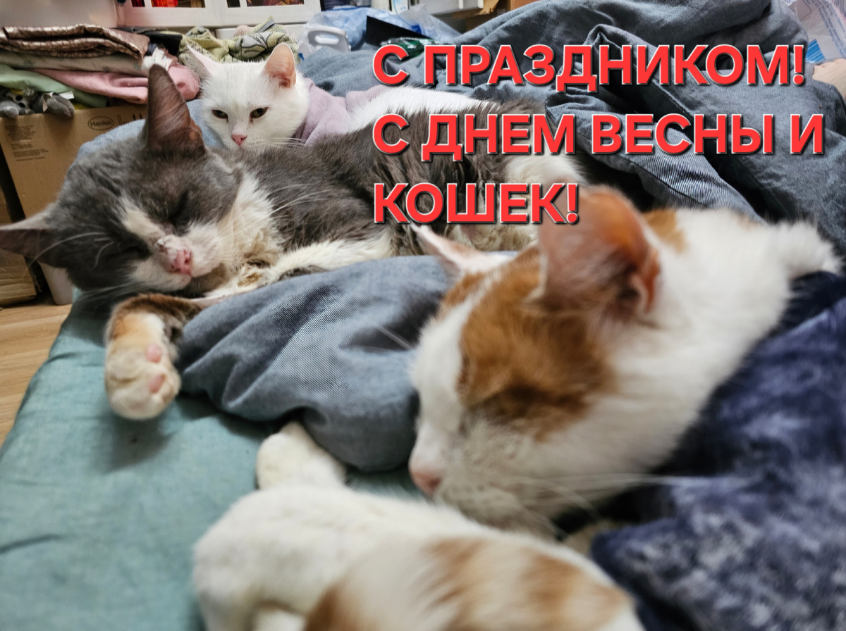 Фото автора. Спешим поздравить друзей нашего приюта.