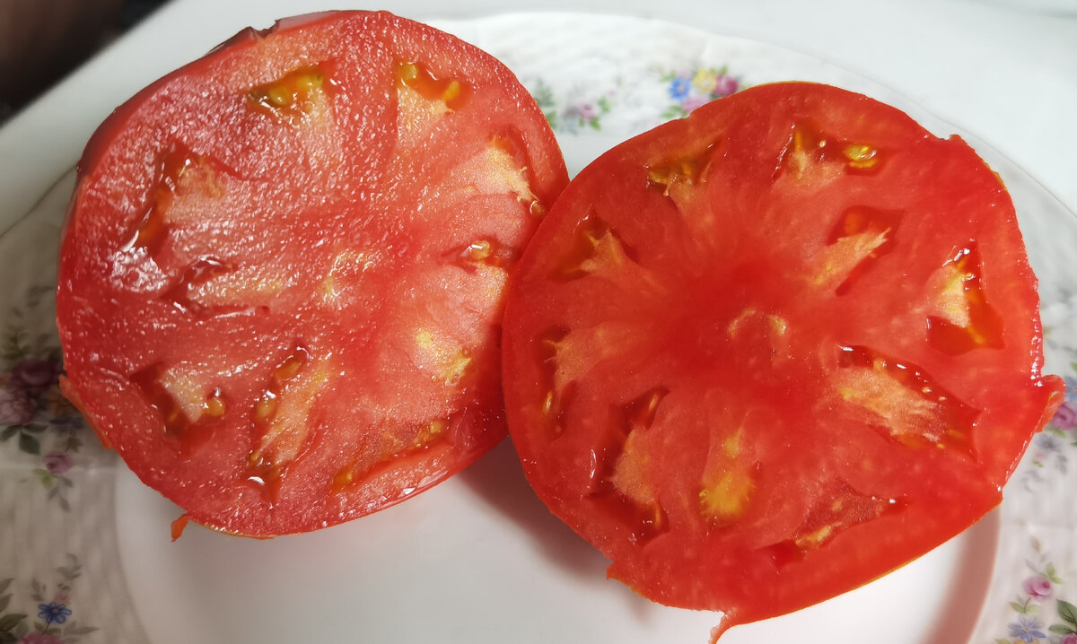 томат Веркины