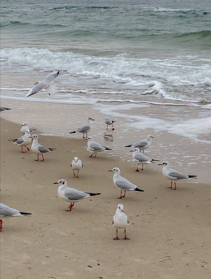 Релакс на Чёрном море