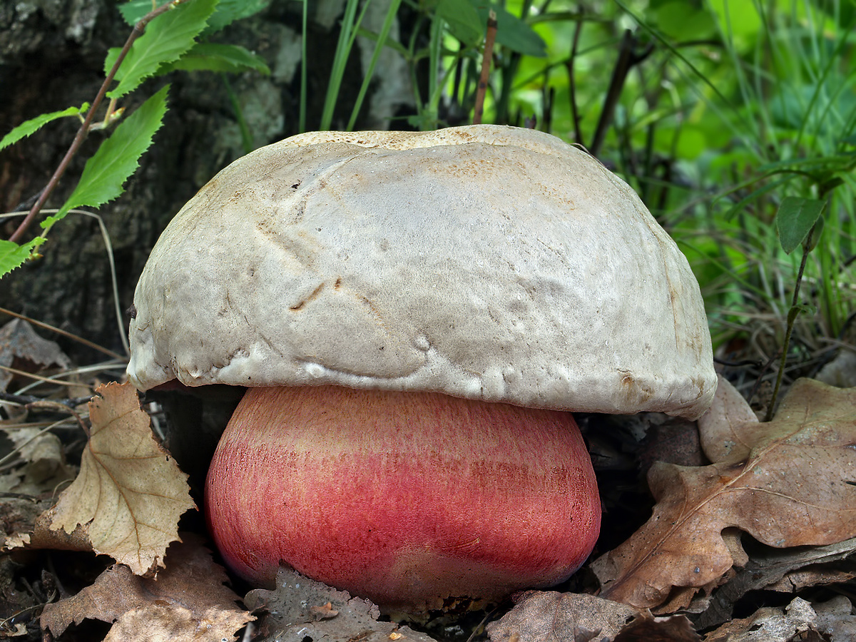 Фото: Jaroslav Maly